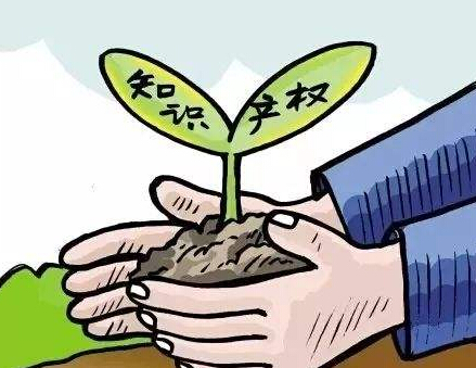 中國專利保護(hù)協(xié)會(huì)《報(bào)告》：AI專利申請(qǐng)量 中、美、日分列前三